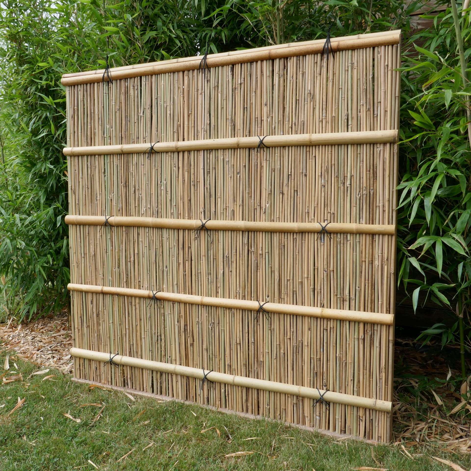 Brise vue bambou SHIMIZU côté Panneau bambou SHIMIZU avec nœuds japonais noirs
