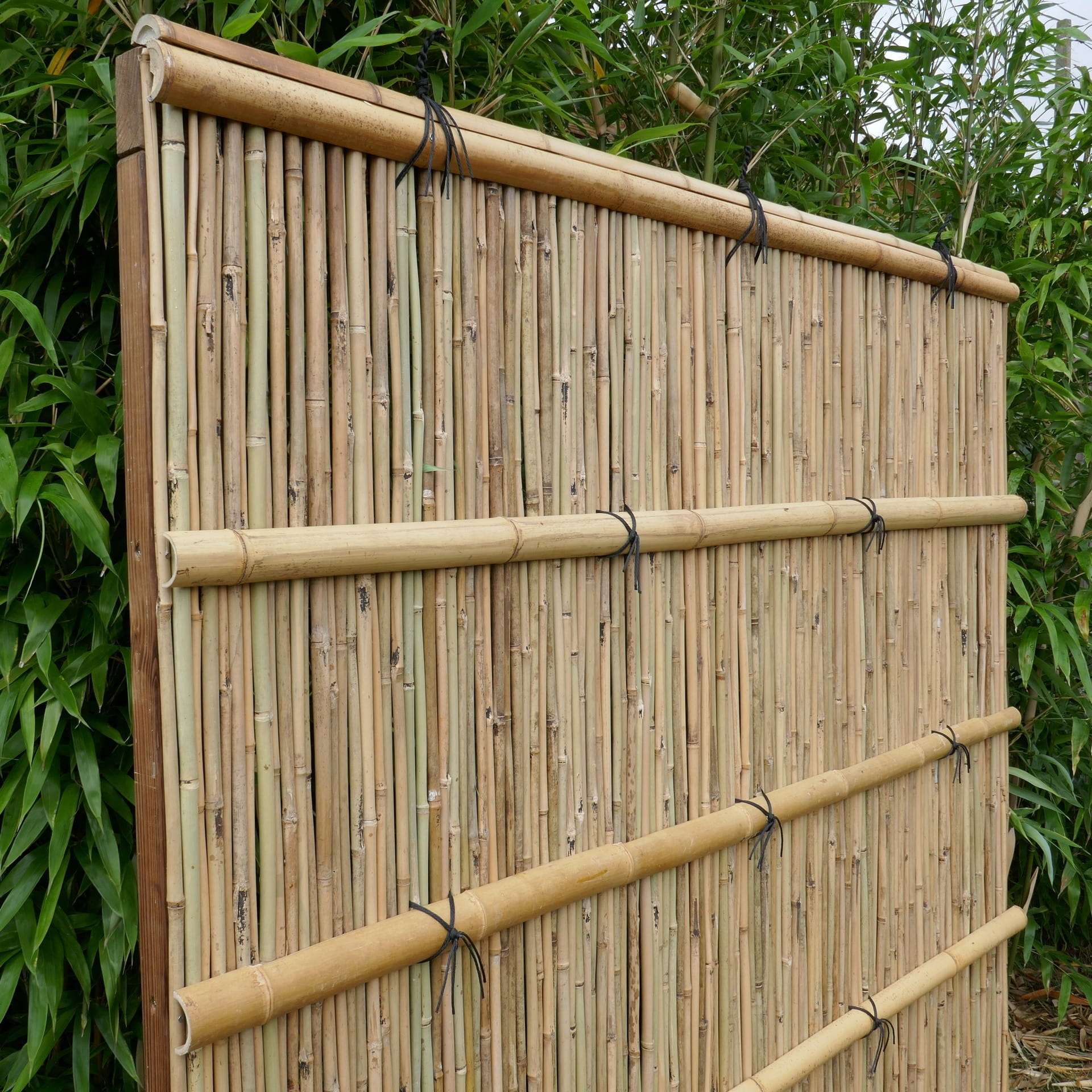 Brise vue bambou SHIMIZU Panneau bambou SHIMIZU avec nœuds japonais noirs
