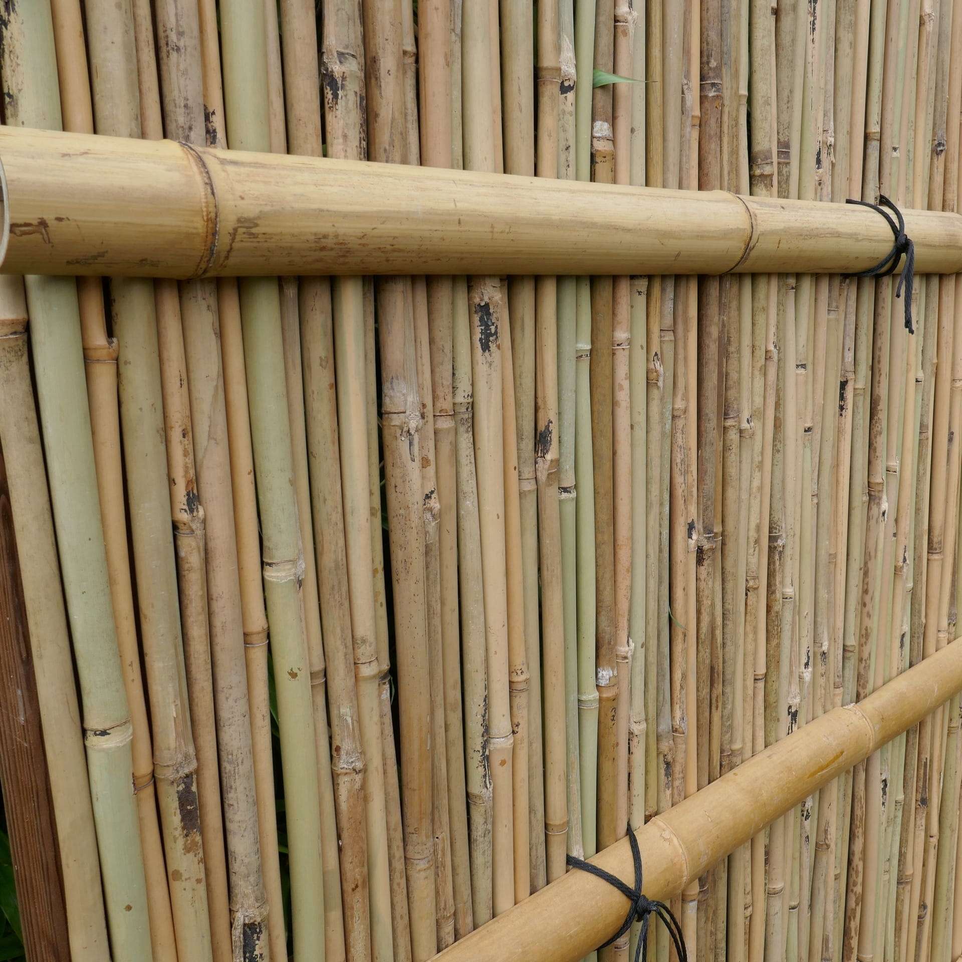 Brise vue bambou SHIMIZU Panneau bambou SHIMIZU avec nœuds japonais noirs