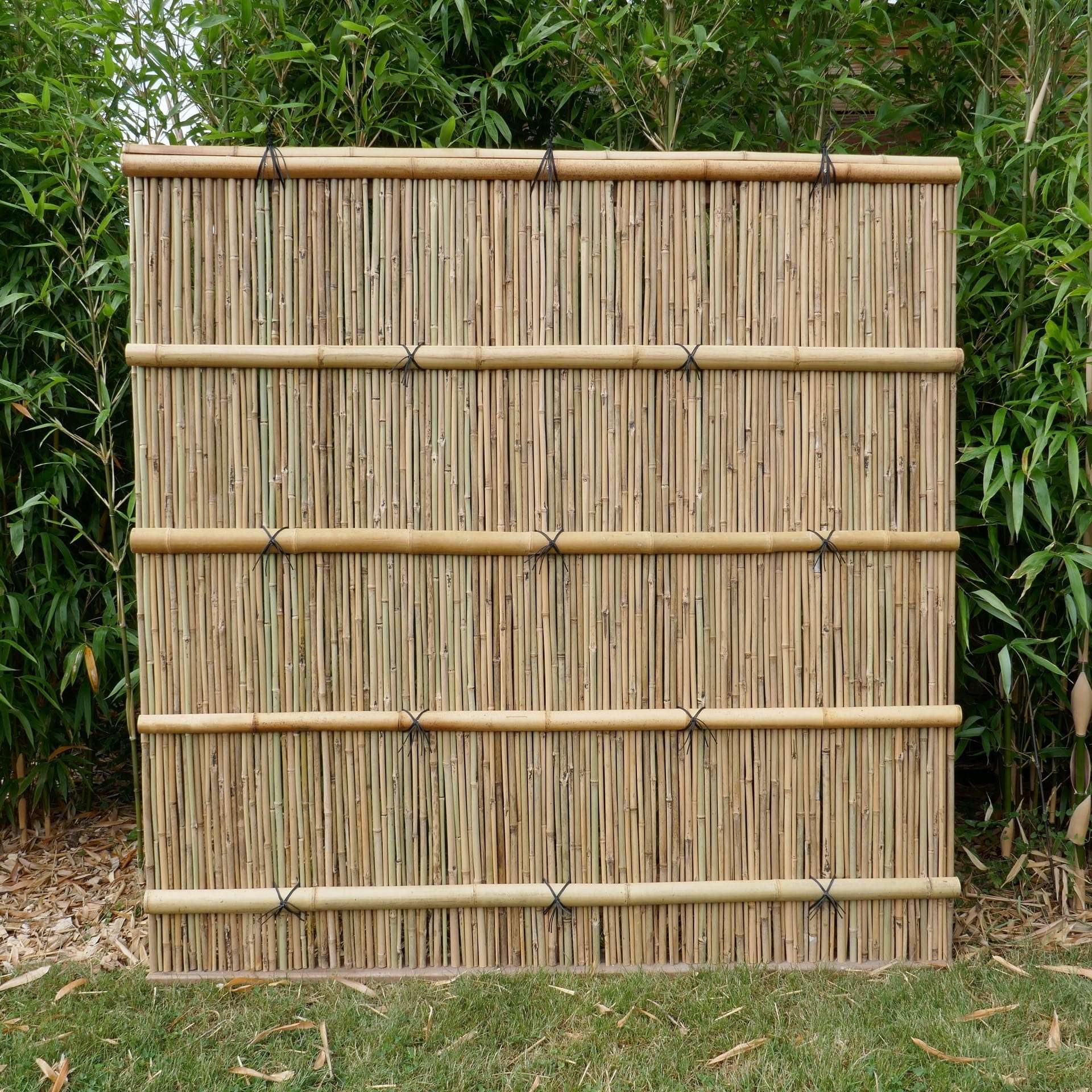 Brise vue bambou SHIMIZU Panneau bambou SHIMIZU avec nœuds japonais noirs