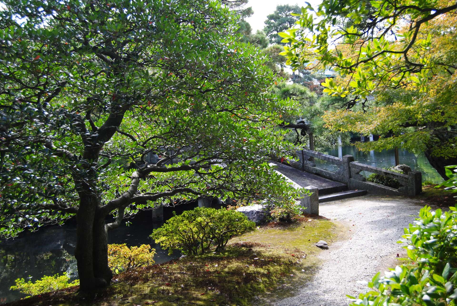 Sukashi-sentei au Palais Impérial de Kyoto