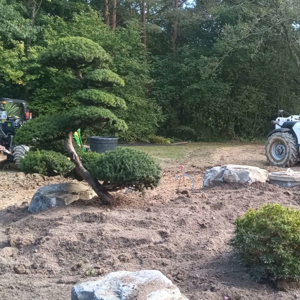 Chantiers jardin japonais en cours