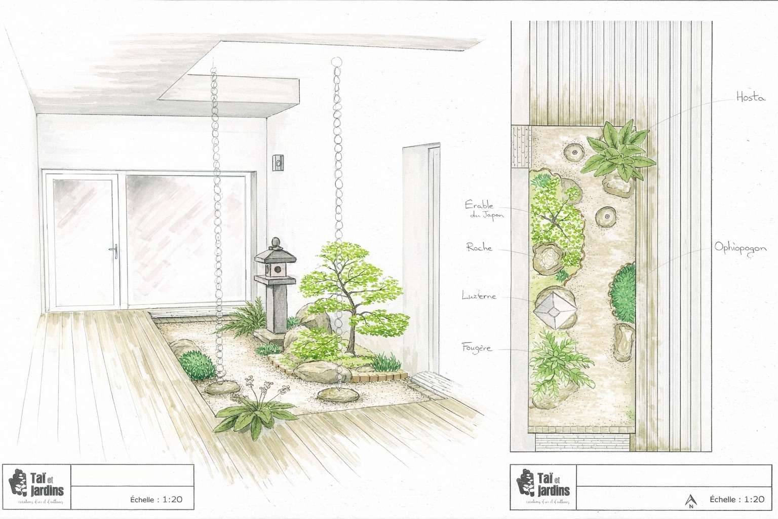 Plan et croquis d'un jardin japonais contemporain en intérieur