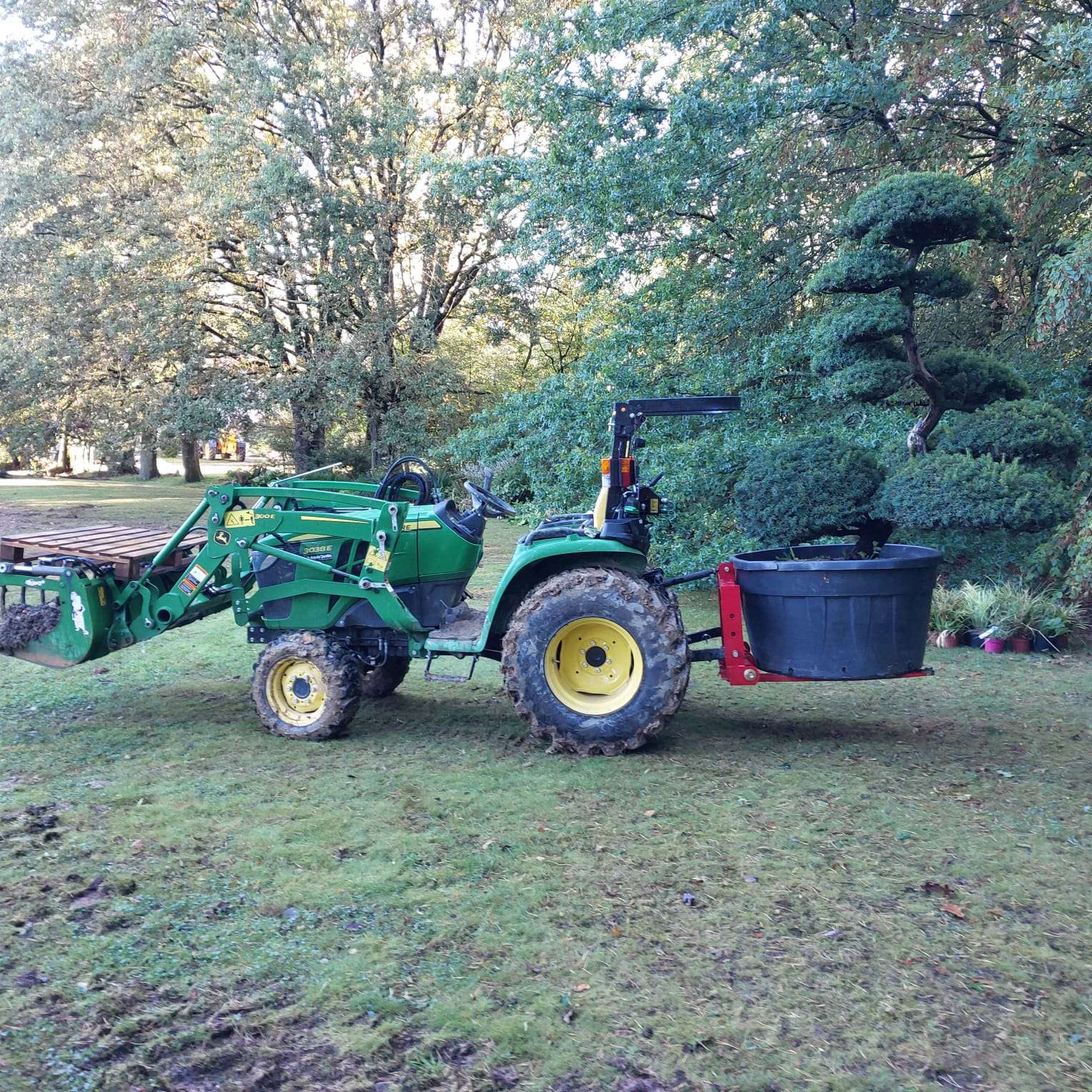 Transport d'un gros niwaki