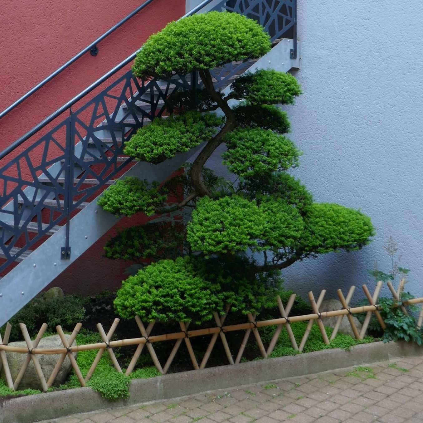 Barriere basse en bambou pour limiter intrusion dans jardin japonais